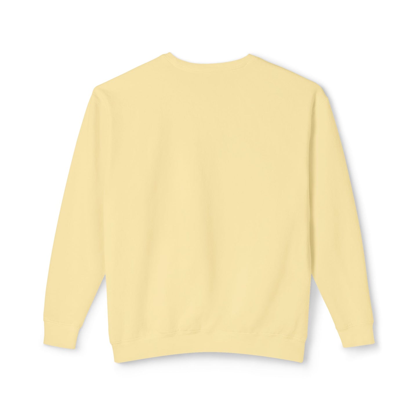 John Lewis Lightweight Sweatshirt, Save the Soul of America, Crewneck Jumper, Civil Rights Activist Pullover, Black History Month Gift,