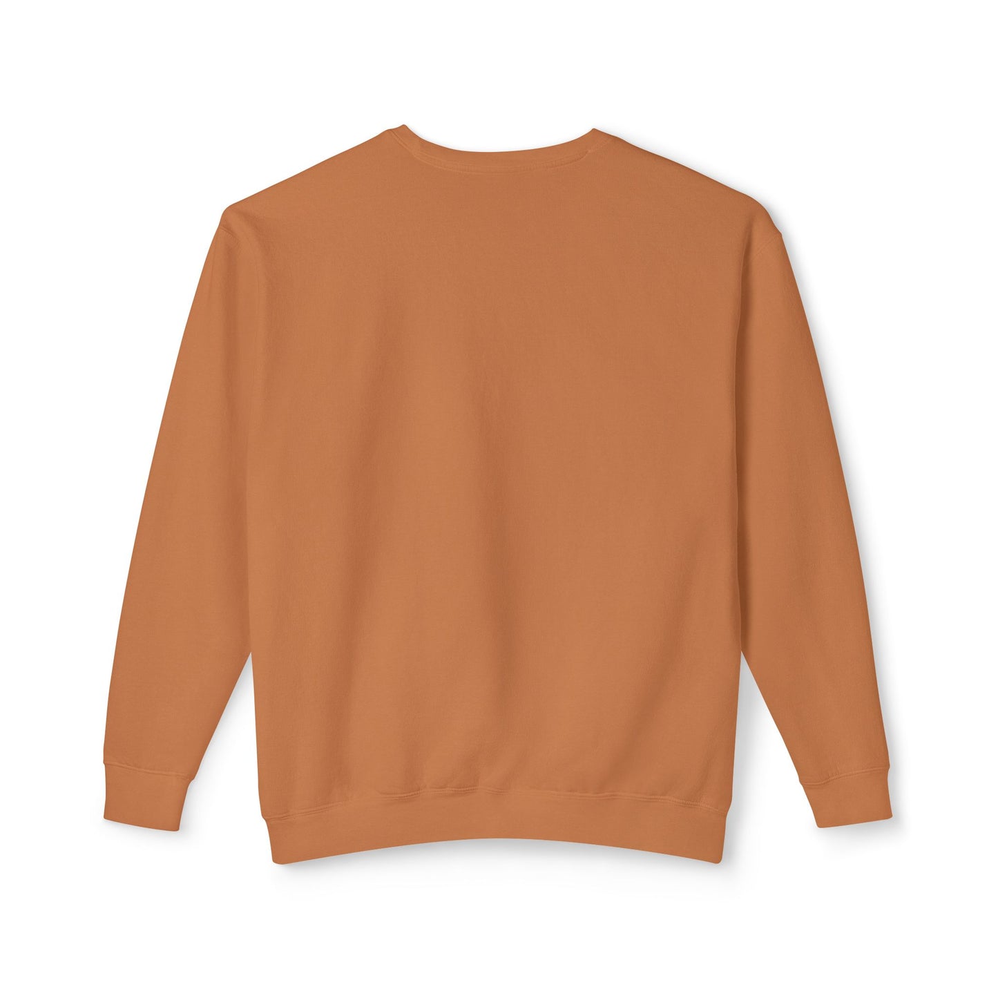 John Lewis Lightweight Sweatshirt, Save the Soul of America, Crewneck Jumper, Civil Rights Activist Pullover, Black History Month Gift,