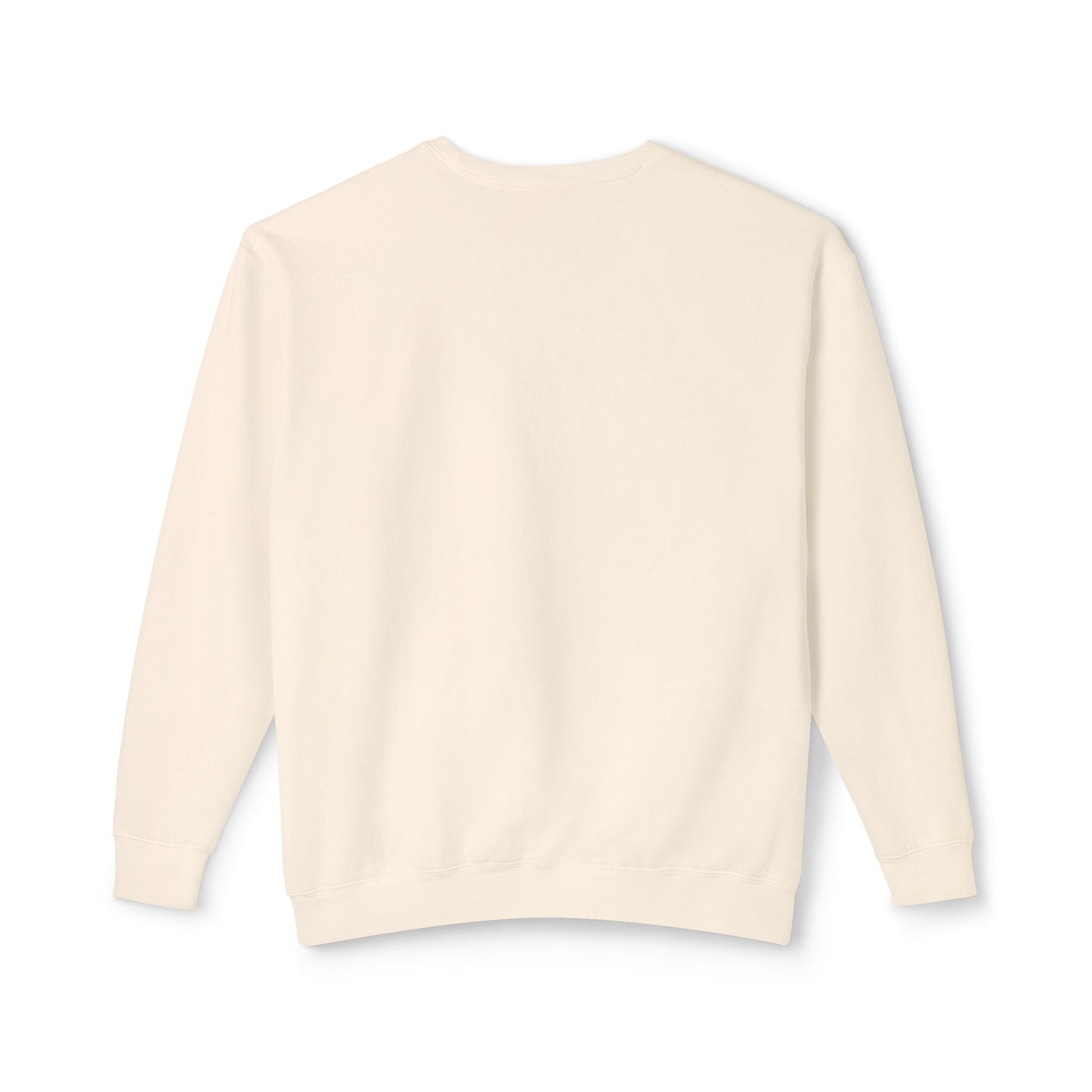 John Lewis Lightweight Sweatshirt, Save the Soul of America, Crewneck Jumper, Civil Rights Activist Pullover, Black History Month Gift,