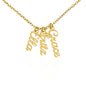 Multi Vertical Name Necklace